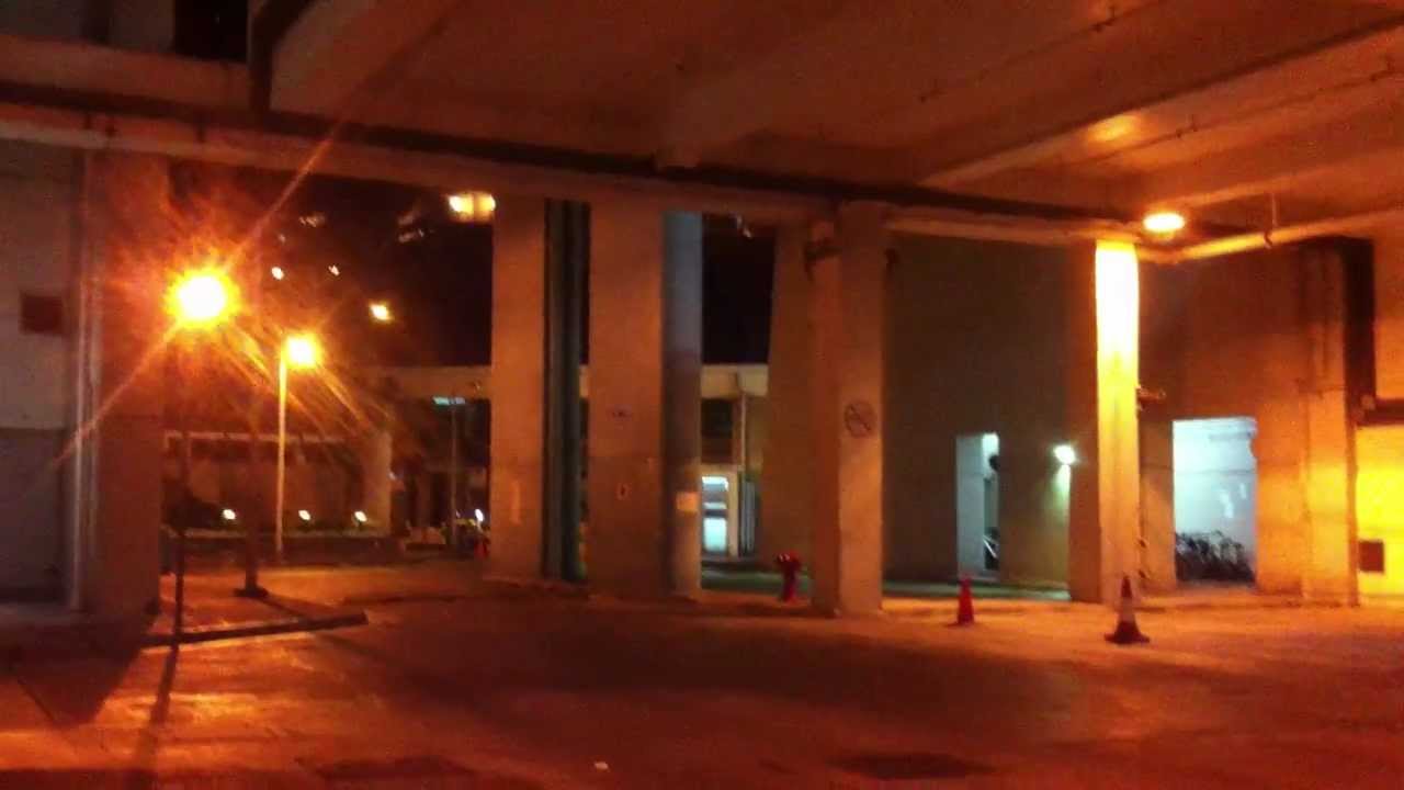 Demo - Walkera RC Quad-copter Space Walker LadyBird, No Review