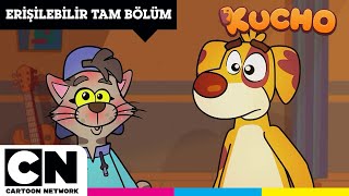 Kucho Kayıp İdol Eri̇şi̇lebi̇li̇r Tam Bölüm