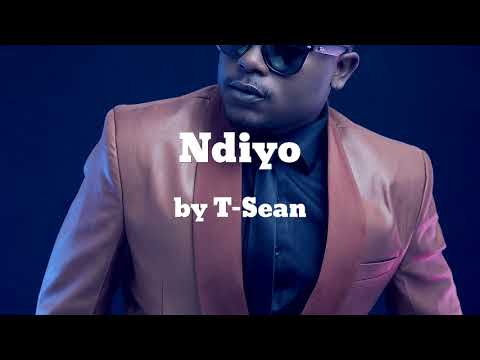 Ndiyo ft Petersen - T-Sean