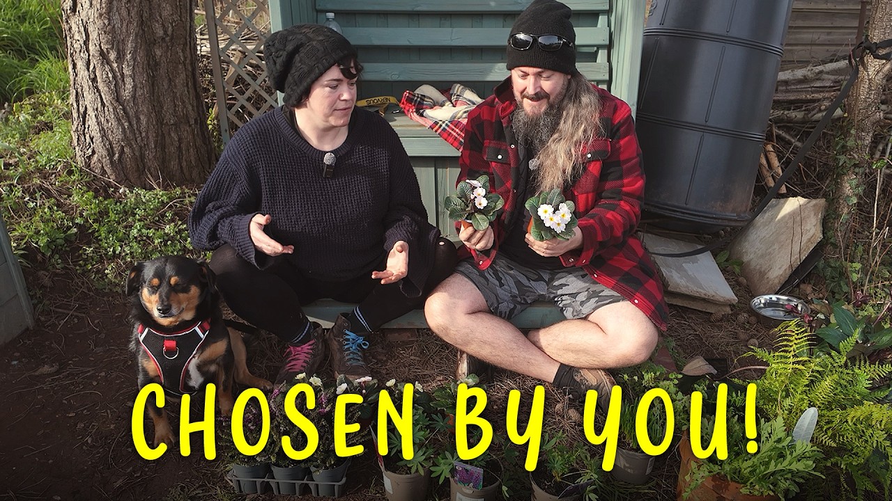 Преображение огорода — ВЫ выбрали НАШИ растения!