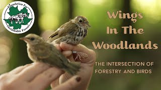 Wings in the Woodlands- The Intersection of forestry and birds