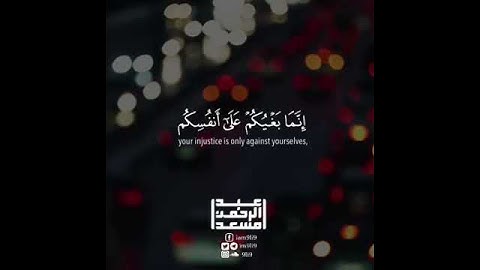 أرح سمعك /القارئ عبدالرحمن مسعد...حالات واتس اب