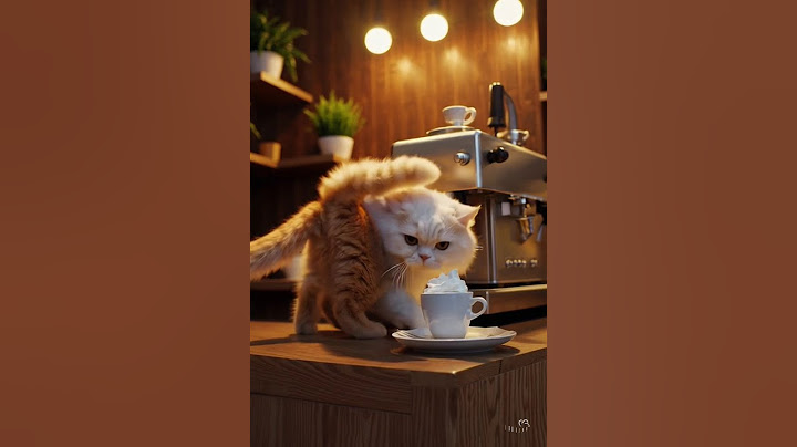 “What if cats ran a coffee shop?” #ai #cat  #whatif #funny