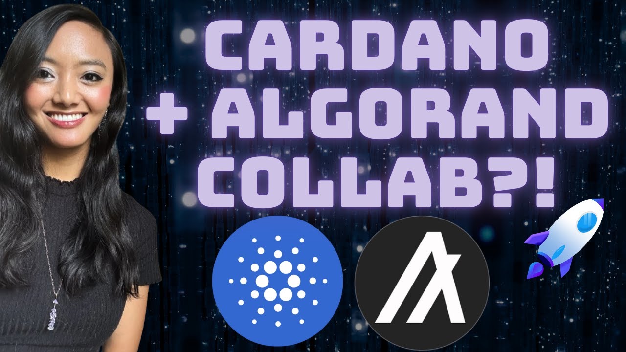 Could Algorand and Cardano become partner chains? Join us as we reveal the  latest updates and what partner chains would entail. : r/algorand
