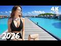 Tropical Moon Quiet 🌿 Chill Deep House Soundscape for Night Zen 4K UHD 2026 | Lunar Groove
