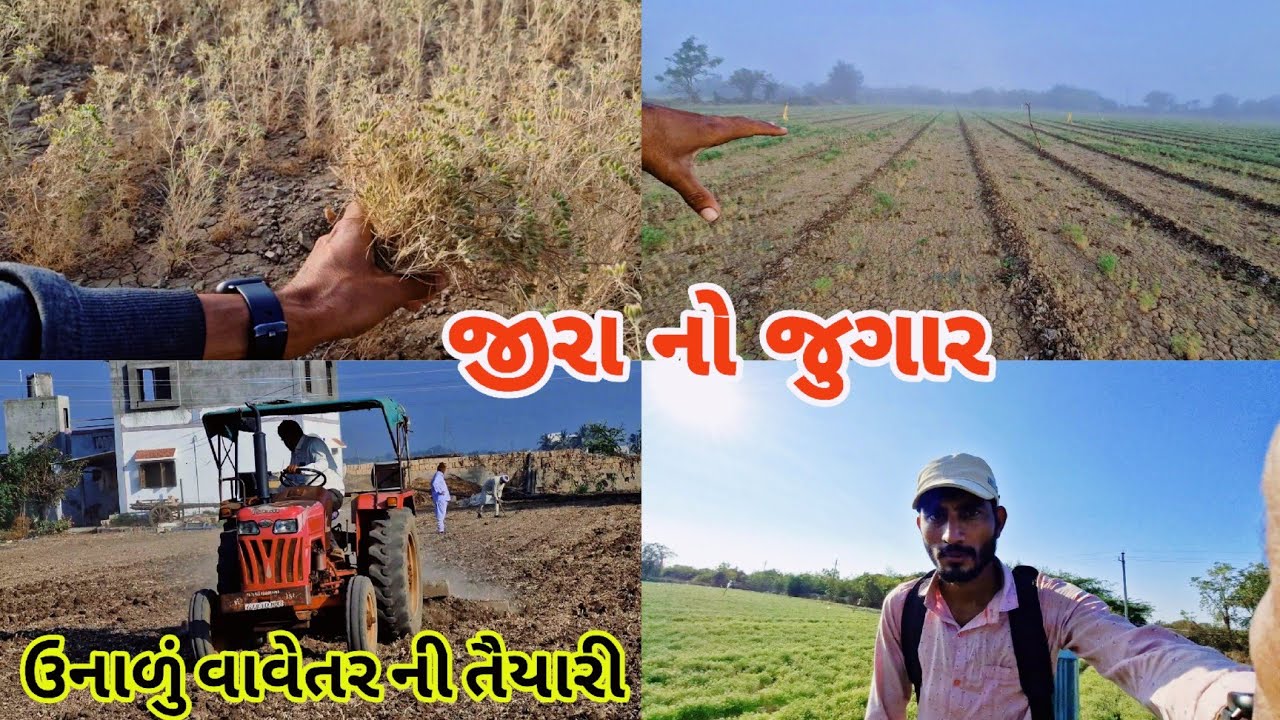 શું છે જીરૂં ની પોઝિશન|| ઉનાળું વાવેતર ની તૈયારી|| farming Life 