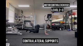 Motor control exercises versus self-stretching exercises for chronic low back pain