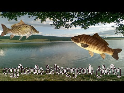 თევზაობა ბაზალეთის ტბაზე