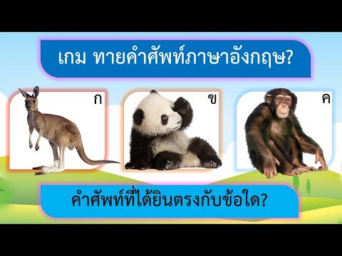 เกม ทายคำศัพท์ภาษาอังกฤษ 10 ข้อ หมวดสัตว์