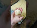 How to make amazing Arancini #rice #arancini #italianfood #recipe #cooking