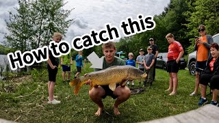 This is how u catch carp 