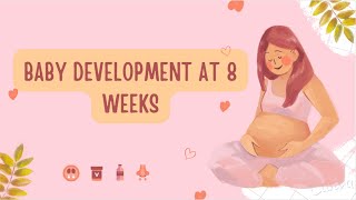 8 Week Ultrasound and Development| PLUS how to Help with Morning Sickness