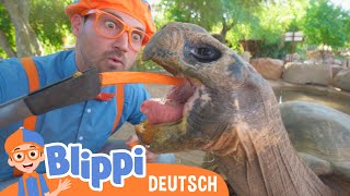 Blippi erkundet einen Zoo 🐢 Kinderlieder und Cartoons | Blippi | Moonbug Kids Deutsch