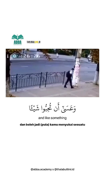 Surah Al-Baqarah Ayat 216  🎙  Muhammad Hesham Hafidzahullah   #murottal #viral #trending #takdir