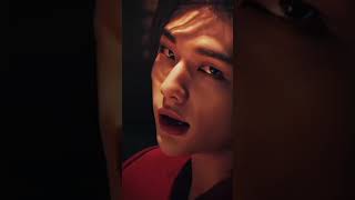 Strrrrrraaaaayyyyy kids!!! #straykids #stay #stayforever