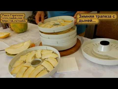 Дыня в сушилке для фруктов и овощей. Дыня в электросушилке. Сушеная дыня в электросушилке. Сушить дыню в электросушилке. Фрукты в электросушилке.