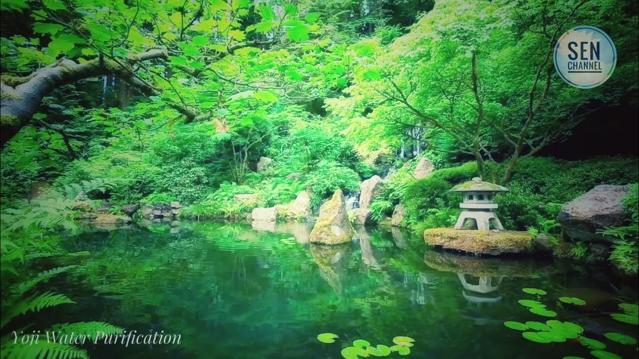 Nhạc Thiền Phật Giáo Yoji Water Purification Tĩnh Tâm An Nhiên