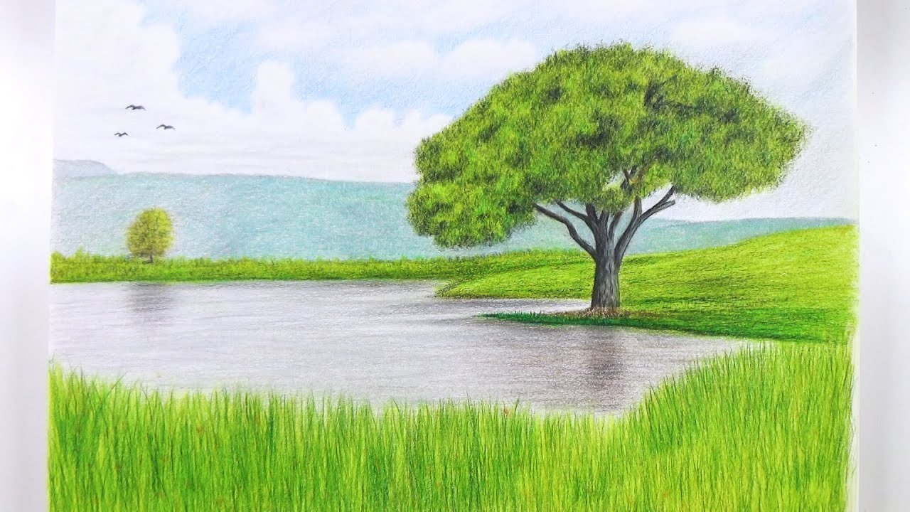 How To Draw A Landscape With Colored Pencils Tree Drawing Speed