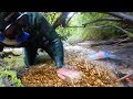 How to find GOLD in creeks overnight PROSPECTING trip DAY 1 (NEW RECORD!!!)