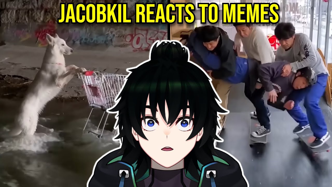 FUNNIEST Vtuber Reactions to MEMES
