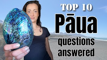 🇳🇿 What You Need to Know About Paua | Top 10 New Zealand Abalone Questions 🌊