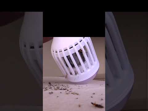 Video: Fungerer Bug Lights: Light That Repels Bugs