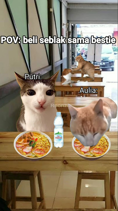 POV: beli seblak sama bestie #kucing #kucinglucu #kucingmeme #meme #shorts