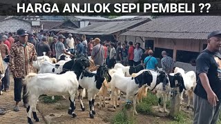 Male Goat Prices: 650,000 Rupiah! Today's Latest Goat Prices at Dongko Market, Trenggalek, East J...