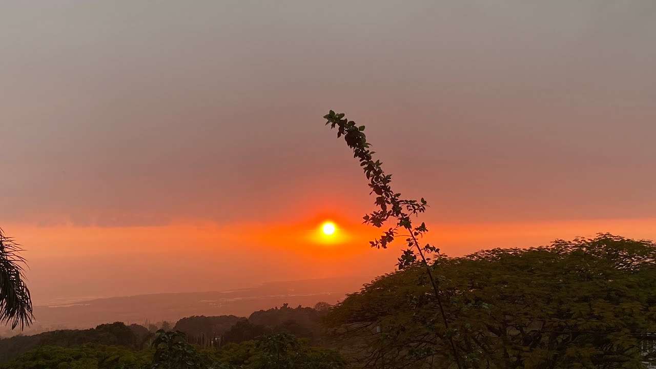 My Favorite Inner Child Healing Modalities