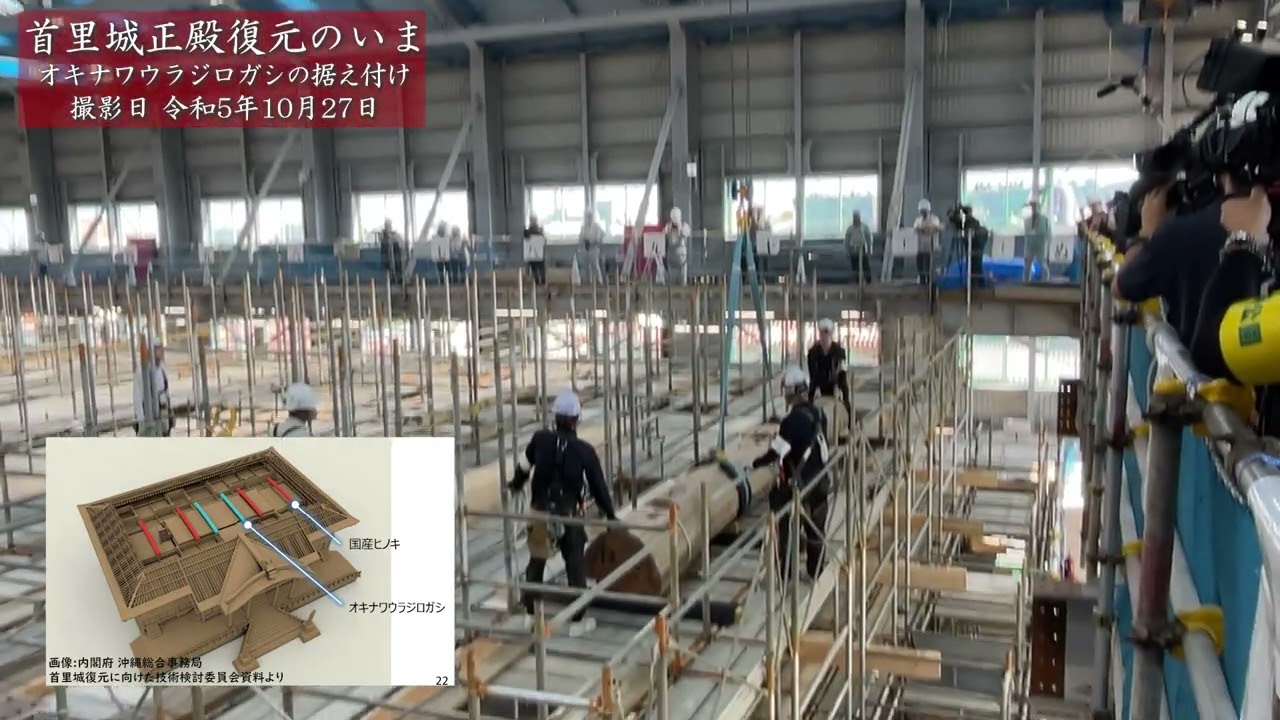 首里城正殿 復元現場のいま　オキナワウラジロガシ据え付け【撮影日：令和5年10月27日】