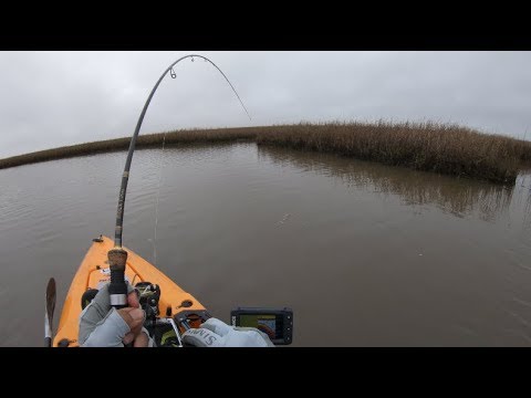 !!!BEST FISHING EVER!!! And It Wasn't Because Of A Fish, Kayak Fishing Texas