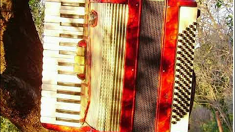 South Of The Border -  Dalmatian accordion cover by Pero