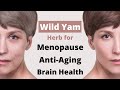 Wild yam 10 benefits  how to use herb for menopause antiaging brain health multisubtitles