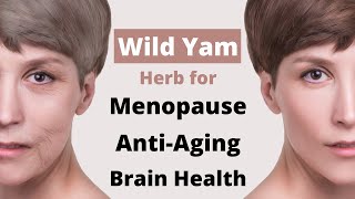 Wild Yam 10 Benefits + How to Use (Herb for Menopause, Anti-Aging, Brain Health) [Multi-Subtitles]
