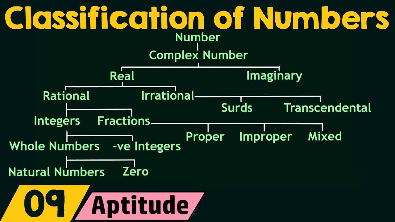 what is number assignment