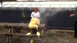 Pumpkin Spew News