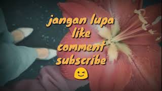 Happy asmara rasa yang salah lirik