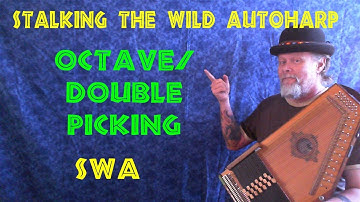 Octave or "Double"  Picking: Stalking the Wild Autoharp
