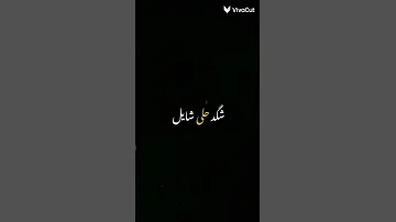 ٢٦ أغسطس ٢٠٢٥ 