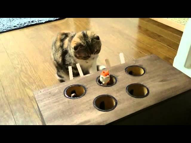 猫ちゃん用のもぐらたたき Youtube