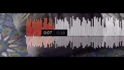 صوت القران الكريم استغفر الله وأتوب اليه 🙏🏼📿