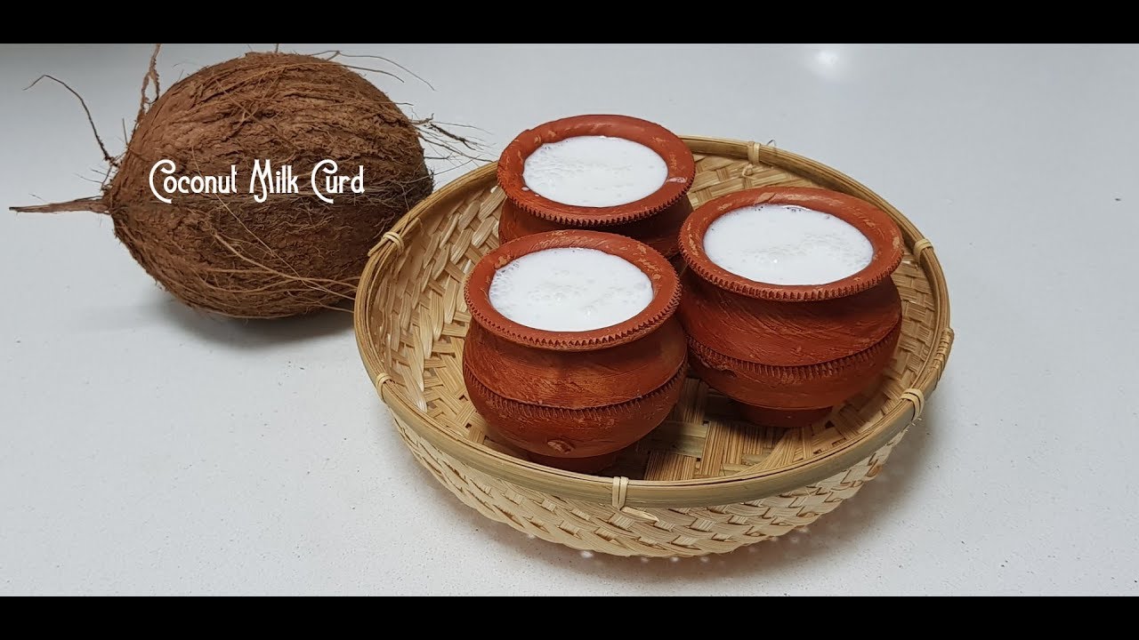 Homemade Coconut Milk Curd// Yogurt YouTube