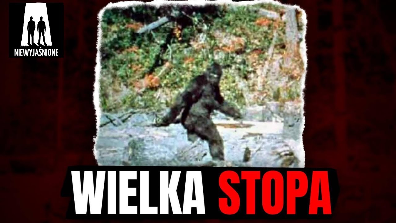 Wielka Stopa istnieje? Szokujące relacje świadków