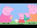 Peppa pig nederlands  familie  tekenfilms voor kinderen