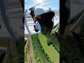 Boy Girl Fly Jump  Perariding #shorts