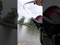 🎣😱Unglaublich! 7 Hechte knallen auf Köderfisch 😱 #hechtangeln  #raubfischangeln  #angeln #shorts