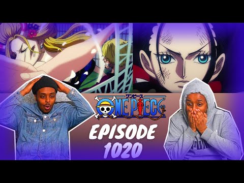 Robin Saves Sanji!  One Piece Episode 1020 REACTION 