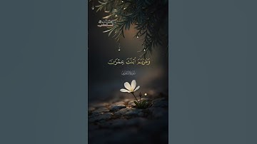 (وَضَرَبَ اللَّهُ مَثَلًا لِّلَّذِينَ آمَنُوا ) #اكسبلور #قرآن #لايك #قران_كريم #ترند  #تلاوات