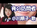 小川順子 / 夜の訪問者