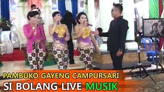 PAMBUKO GAYENG CAMPURSARI SI BOLANG LIVE MUSIK